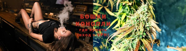 дмт Магадан
