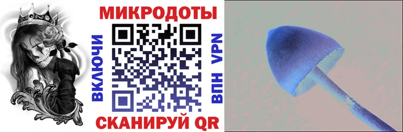 Псилоцибиновые грибы ЛСД  Купить где  Таганрог 